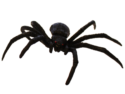 Bestioles & bêtes affreuses